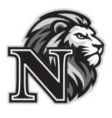 Logo 3 - Lion Head Newaygo N